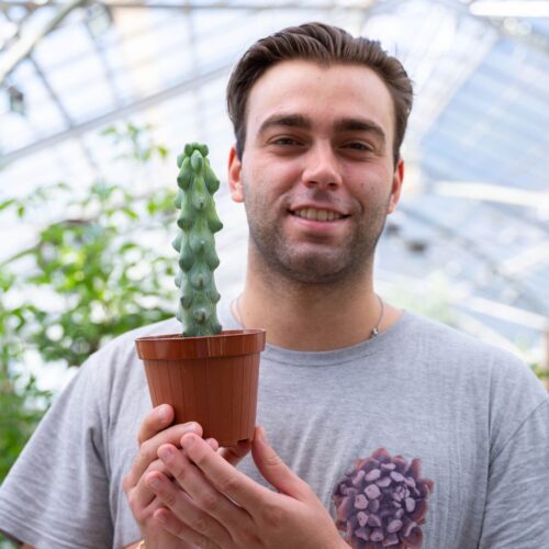 Myrtillocactus fukurokuryuzinboku Ø 12 cm